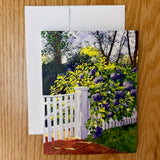 Greeting Card - Edgartown Hydrandgeas